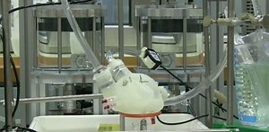 本物の心臓にかなり近づいた、3Dプリンターで作られたシリコン製の人工心臓