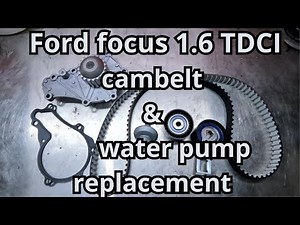 How do you replace the timing belt of the Ford Focus?