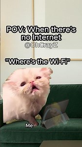 CAT MEMES 🐱 WHEN THERE’S NO INTERNET #relatable #cat #funny #internet #shorts