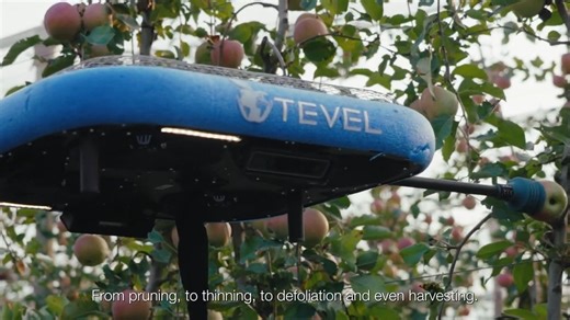 The Robots Are Here: Tevel & Kubota Showcase the Future of Fruit Harvesting