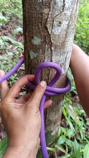 how to tie a binding knot #knot #rope #diy #tutorial #outdoor #aktivity | Knot Reel