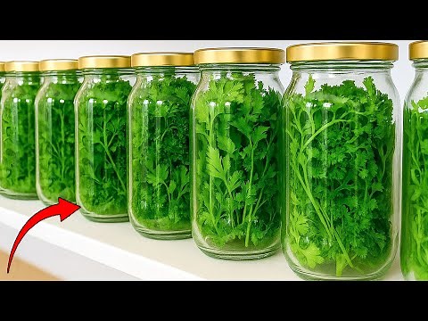 How to Keep Cilantro Fresh — 11 Mistakes You Must Stop Making!