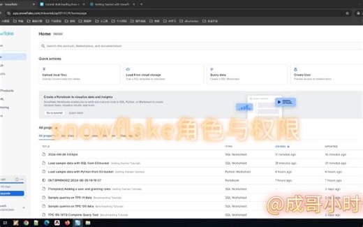 snowflake进阶之角色与权限02