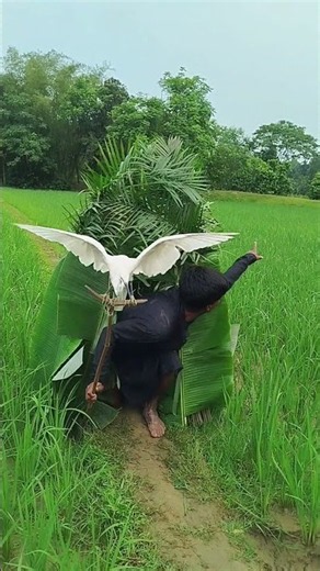 #amazing #birds #hunting #foryou