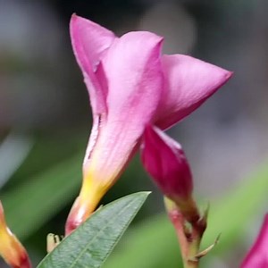 165K views | OBI on Reels | Facebook