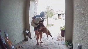 See Amazon driver's brave move when dog attacks