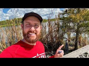 Best Free Spot for Florida Wildlife & Alligators is Lake Apopka Wildlife Drive | Must Visit!