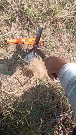 treasure hunt using pinpointer #metaldetecting #findgold #shortsfeed #goldhunting #foundgold #yt