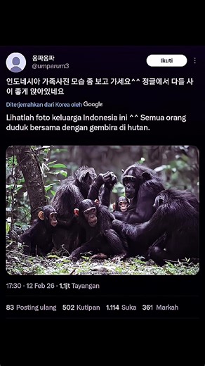 Cultural Perspectives: South Korea vs Indonesia