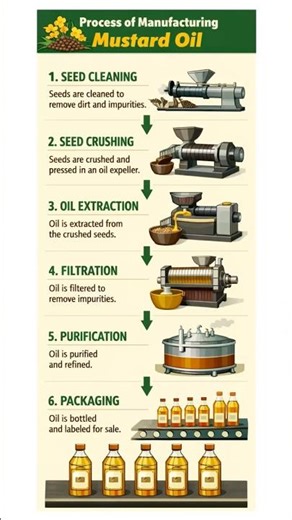 “Mustard Oil Making Process | Step-by Diagram 🟡📊” #shortvideo