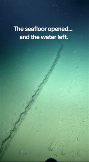 This wasn’t a collapse. This wasn’t an explosion. And it wasn’t a camera glitch. At extreme depth, the seabed split open in a straight line. No shaking. No debris. Just… separation. Then a single bubble expanded until it filled the frame. #fyp #Abyss #underwater #DeepSea #FoundFootage #11000m