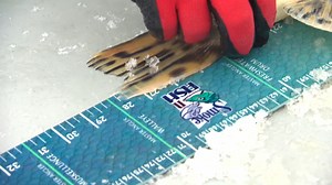 4.3K views · 96 reactions | Brokenhead Ojibway Nation held its...