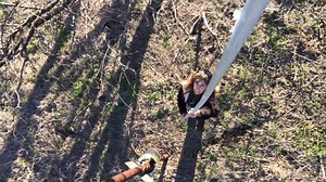 1.6K views · 61 reactions | Watch as mommy screech owl shows her off soon-to-be newborns from one of our 42 nesting boxes at Oak Point Park & Arbor Hills nature preserves. These Eastern Screech Owls as well as Kestrels and other birds are back to have their babies at Plano's favorite parks. | Plano Parks & Recreation | Facebook