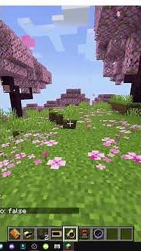 HOW TO USE TIME TWISTER IN MINECRAFT WITH Tempad