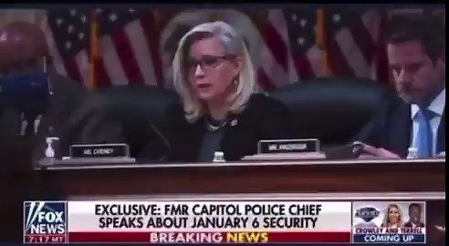 This is Huge!!Here is Capital Police Chief who OVERSAW Nancy Pelosi’s Jan 6th. Steven Sund “Ask your self why the Jan 6 Committee never requested that I come in publicly testify?, think about that, I am the Chief Capital Police.”In other words, Mr. Elizabeth Lynn Cheney https://t.co/GSZyj59XEG