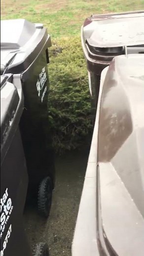 Cleveland, TN Trash Pickup Deals! Fast and Affordable Garbage Collection Services from 5 Star Waste