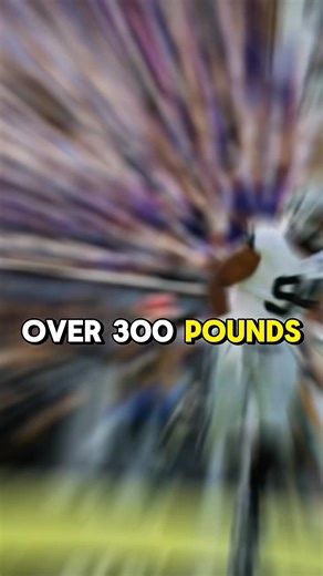 What is taking so long with the Christian Wilkins injury & what can the Raiders do? Wilkins underwent surgery to repair a Jones fracture in his left foot on Oct. 8th, 2024... | Las Vegas Raiders by Chat Sports