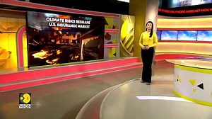 Climate risks reshape US home insurance market