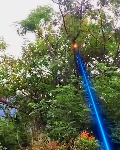 53K views · 126 reactions | Using Laser To Cut Tree Branches!  | Lilyon DIY | Facebook