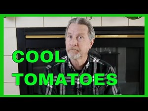 The Amazing History of Tomatoes