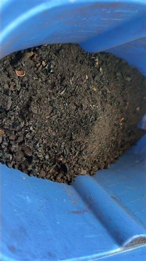 Dirty BBQ Secrets: Gross Rodent Nest Found Inside Grill! 🐀 #Shorts