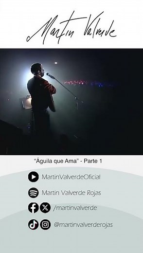 Águila que ama 1 - #MartinValverde #noterindastour2024 #shorts