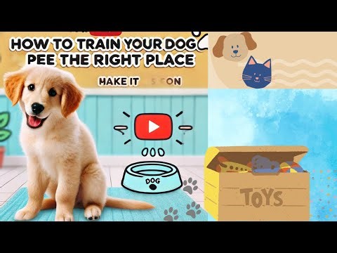 How to Train Your Dog to Pee in the Right Spot – Easy & Fast!