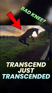 Transcend Did a Majestic Jump! #umamusume
