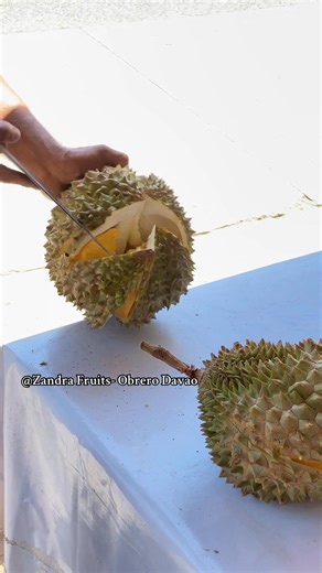 This is what heaven tastes like—literally!😍✨ 📍Iñigo St. corner N. Torres Street, Brgy. 18-B Obrero, Davao City, Philippines #durian #durianlover #durianfruit #DurianChallenge #fruits #pasalubong #DavaoCity #Davao #phillipines #food #FoodieLife #FoodieVibes #foodie | Zandra Fruits - Obrero Davao