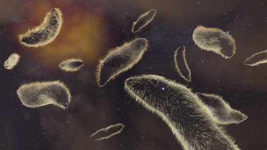 25 Astonishing Facts About Outer Space