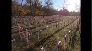Lest We Forget. Sj | Shaun Johnston