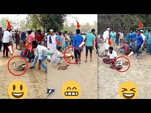 🌍 Global Laugh Explosion 2026 🤣 Ultimate Funny Prank Compilation | Rasel Vai official