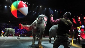 Former circus clown: 'Sad day for the clowns'