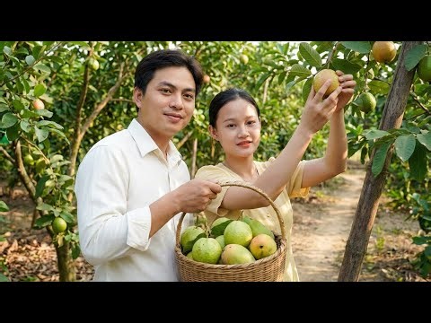 James and Tu Diep Find a New Kind of Normal — Garden Hands, Office Wins, and a Quiet Dinner