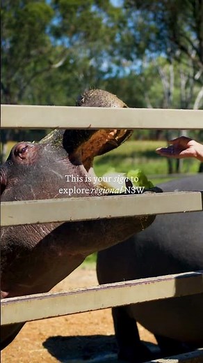 Why You Need to Visit Dubbo