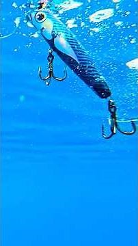 Bluefin Tuna Airborne Strike on the new Slack Tide Nemesis 230mm popper 🚀 #fishing #handmadelure