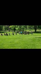 20 reactions | PK9 TRAINING | Protection K9 Training Club | Facebook