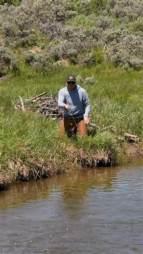 113K views · 1K reactions | How To Fly Fish with Wet Flies | Venturesflyco | Facebook