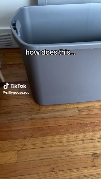 tried the diy sterilite container litter box hack 😋 im obsessed im gonna make 2 more #diy #cats #catsoftiktok