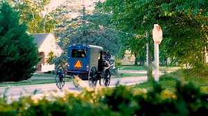 1K reactions · 408 shares | We will continue to share pieces of Lancaster County with you during this time when you cannot travel here yourself. This video from the The Amish Farm and House perfectly encapsulates our feelings. We look forward to seeing you again soon! www.amishfarmandhouse.com | Discover Lancaster | Facebook