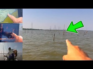 Summer Crappie Fishing, How to Locate Crappie