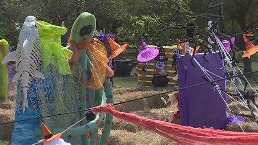 'Hay-Mazing' Adventure returns to South Texas Botanical Gardens this fall