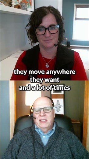 Where Does Stolen Cargo Go? | What's Brewing | IAT Insurance Group #insurance #trucking #trucks