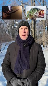 Heteronyms em Inglês 📝 #heteronyms #pronuncia #pronunciation #cursodeingles | EnglishBay