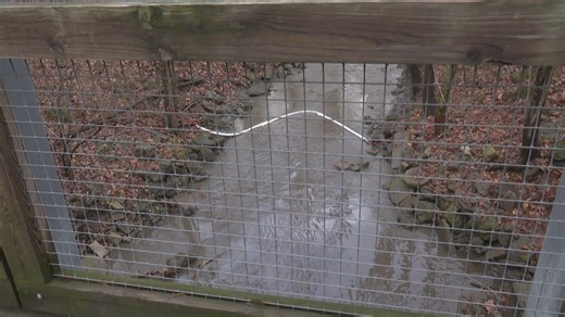 Swan Creek leak source identified as Maumee facility; cleanup underway in south Toledo