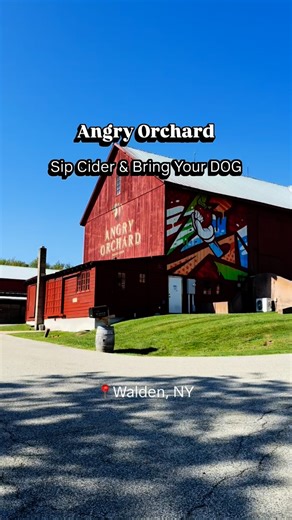 Doggie Road Trippin on Instagram: "Welcome to the iconic @angryorchardwalden in Walden, NY — The home of @angryorchard where crisp hard cider, orchard views, and wagging tails come together for the ultimate dog friendly fall escape! One of @DoggieRoadTrippin’s all-time favorite autumn stops, this legendary spot is a dream for dog lovers and cider fans alike. 🐾 🍎 Set on 60 acres of apple paradise, Angry Orchard brings the vibes with fresh cider on tap, tasty bites from the kitchen + food trucks