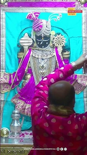 राजाधिराज द्वारकाधीश जी के श्रृंगार आरती दर्शन🙏🏻 #shringararti #ShridwarikadhishmandirOfficial