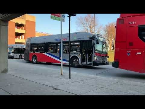 16 Minutes of Bus Observations: WMATA New Flyer Metrobus in Action Series