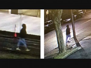 New Details About Waltham Attacks: Police