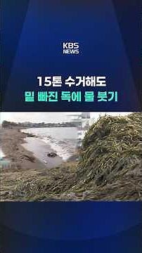하루 15톤 수거해도 밑 빠진 독 #shorts / KBS